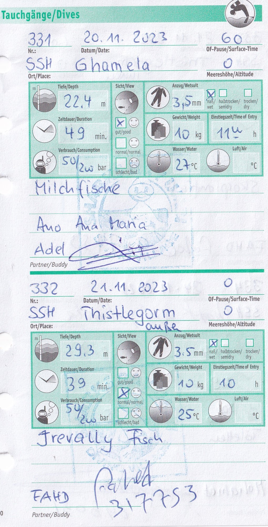 dive331 332.jpg